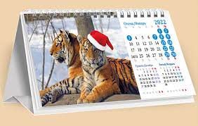 Перекидной календарь с тиграми на 2022 год